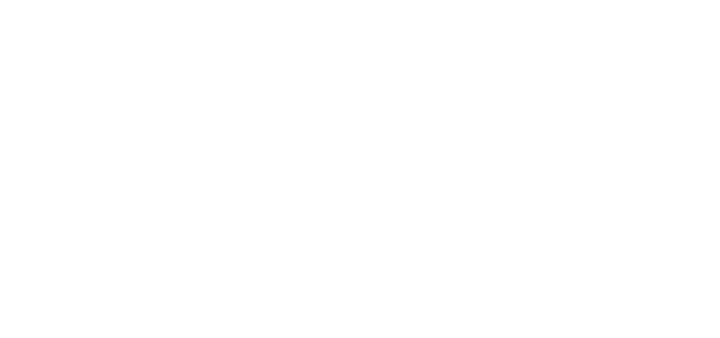 Premier liga logo white