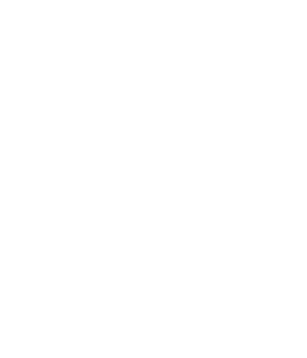 Seria A white logo